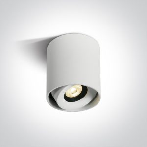Adjustable COB Ceiling Lights - 12108X/W/W