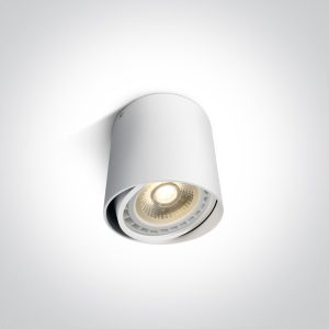 Adjustable Ceiling Lights - 12142/W