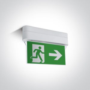 Emergency LED Ceiling Signs - 89406/W