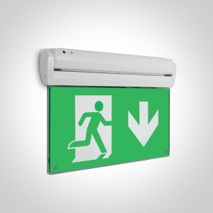 Emergency LED Ceiling Signs - 89410/W